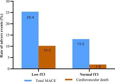 Low Free Triiodothyronine as a Predictor of Poor Prognosis in Patients With Myocardial Infarction With Non-Obstructive Coronary Arteries